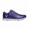Callaway 2022 LADY MULLIGAN Golf Shoes NAVY -Clubs Shop callaway 2022 lady mulligan golf shoes navy p8381 17921 image