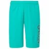 Oakley B1B SHORTS - MINT GREEN -Clubs Shop oakley b1b shorts mint green p7970 16014 image