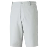Puma Dealer Short 10In - Ash Gray